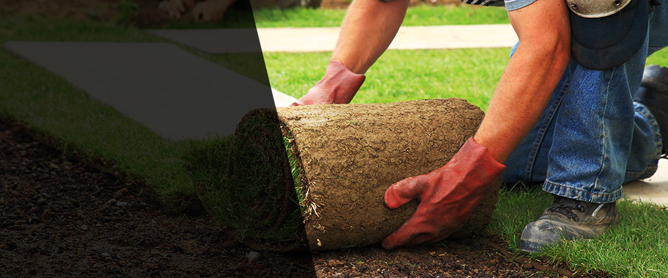 Ixonia Landscapers